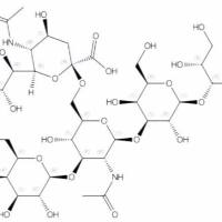 唾液酸乳糖-N-四糖 B64003-54-9