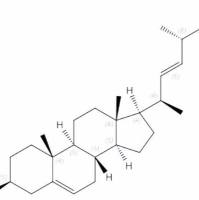 菜籽甾醇474-67-9