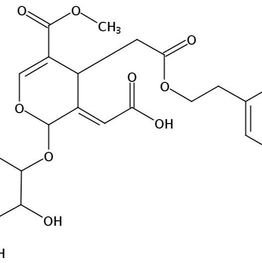 橄榄苦苷酸96382-90-0
