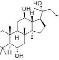 20(R)原人参三醇1453-93-6