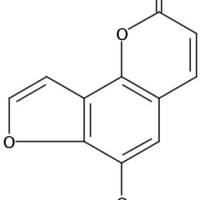 牛防风素483-66-9