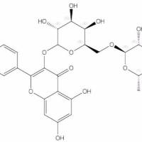 异鼠李素-3-O-刺槐二糖苷53584-69-3