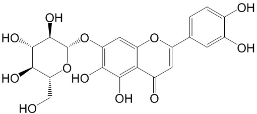 6-羟基木犀草苷54300-65-1