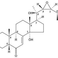猪苓酮C 141360-90-9