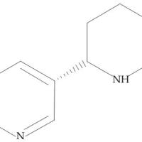 (-)-假木贼碱;新烟494-52-0