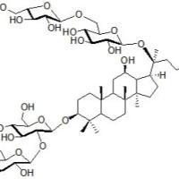 人参皂苷Rs287733-66-2