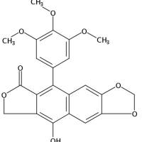 去氢鬼臼毒素42123-27-3