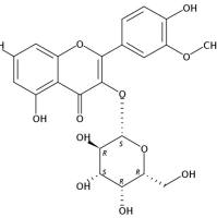 异鼠李素-3-O-半乳糖苷6743-92-6