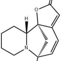 一叶萩碱5610-40-2