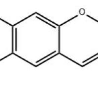 泽兰色原烯19013-03-7