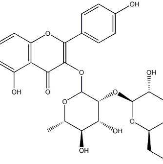 山柰酚-3-O-β-D-葡萄糖基（1-2）-α-L-鼠李糖苷142451-65-8
