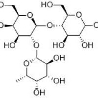 2’-岩藻糖基乳糖41263-94-9