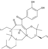 7-epi-Isogarcinol1141378-40-6
