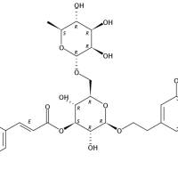 连翘酯苷1177581-50-8
