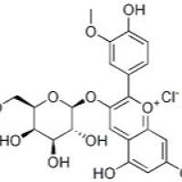 芍药素-3-O-半乳糖苷28148-89-2