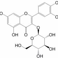 替考拉宁61036-62-2