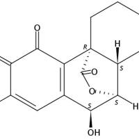 rosmanol quinone121927-71-7