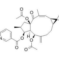 千金子素L8218916-53-1