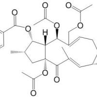 千金子素L7b93550-95-9