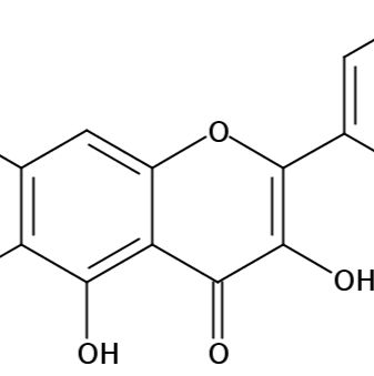 甘草黄酮醇60197-60-6