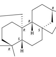 雷公藤福定139122-81-9