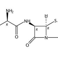 阿莫西林26787-78-0
