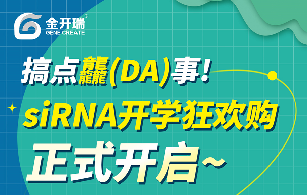 siRNA，药物研发领域的璀璨新星！