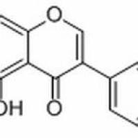 奥洛波尔480-23-9