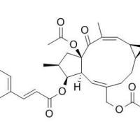千金子素L7a93550-94-8