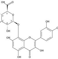 棉花皮素-8-O-葡萄糖醛酸苷55366-56-8