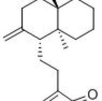 新穿心莲内酯苷元82209-74-3