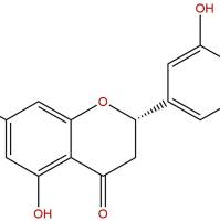 7-O-甲基圣草酚51857-11-5