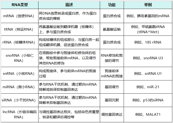 siRNA，药物研发领域的璀璨新星！