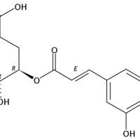 5-O-咖啡酰莽草酸73263-62-4