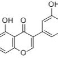 红车轴草素2284-31-3