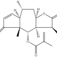 山金车内酯 D34532-68-8