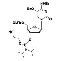 5-OBz-dC(Bz) Phosphoramidite