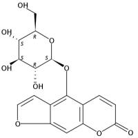 佛手酚葡萄糖苷131623-13-7