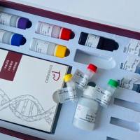 猪甲胎蛋白(αFP)ELISA试剂盒  高灵敏度  强稳定性