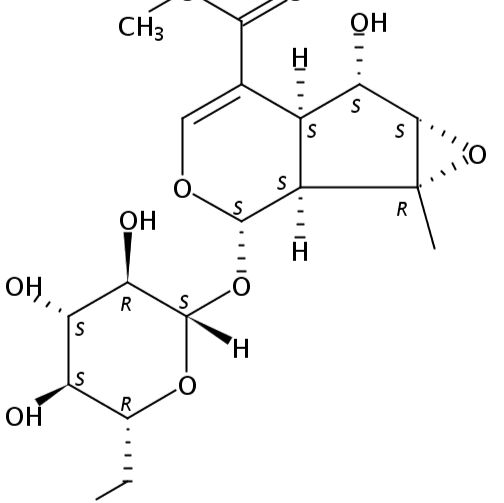 Phlorigidoside C276691-32-8