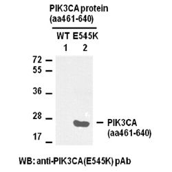PIK3CA(E545K)