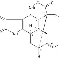 钩吻素丁113973-31-2