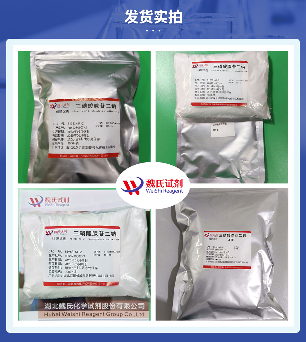 三磷酸腺苷二钠—51963-61-2