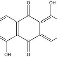 3-羟基巴戟醌80368-74-7