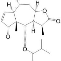 山金车内酯C34532-67-7