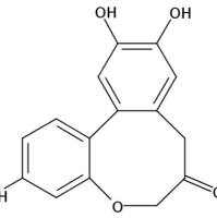 原苏木素A102036-28-2