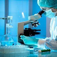 动物/植物模型,植物转基因