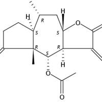麦角内酯54999-07-4