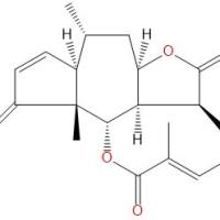 小堆心菊素C63569-07-3