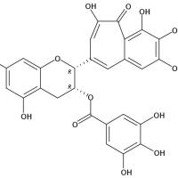 Epitheaflagallin 3-O-gallate102067-92-5